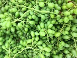 Sour Grape Box