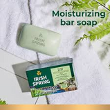 Irish Spring Aloe Deodorant Soap (2-pack