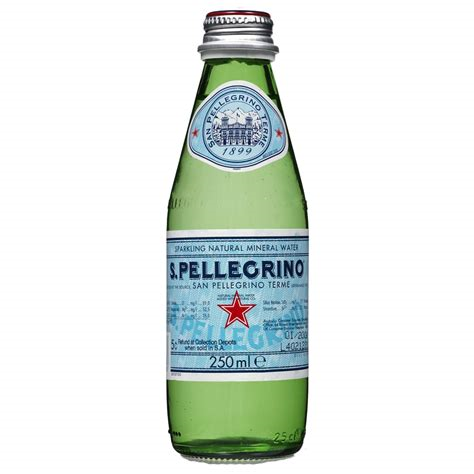 San Pellegrino Sparkling Water 16.9oz