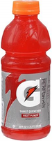 Gatorade Fruit Punch