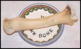 Lamb Shank Bone  (zaroah)
