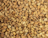 Fancy Melon Seed