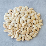 Roasted Salted Squash Seed