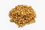 R/l/s Watermelon Seed Passover