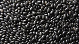 Golchin Black Beans 15.5oz