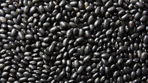 Golchin Black Beans 15.5oz