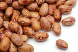 Golchin Pinto Beans 15.5oz