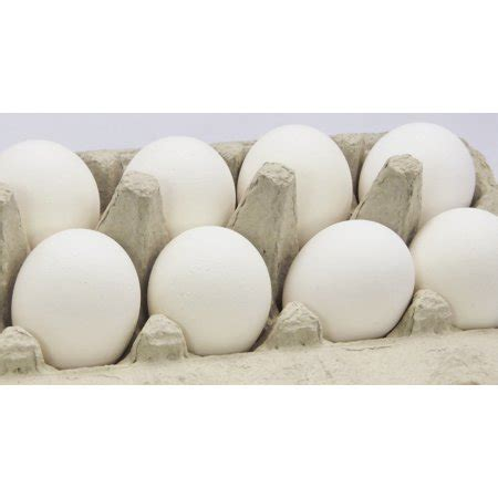 Aa Large Eggs