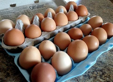 Aa Organic Cage Free Brown Eggs