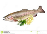 Fresh Trout