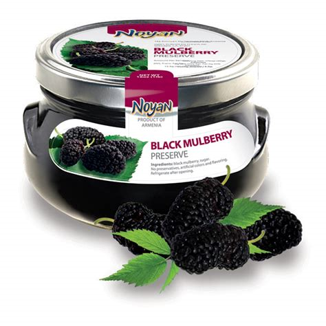 Noyan Black Mulberry Jam