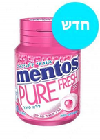 Mentos Fruit-mint Gum 30 Pc.