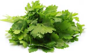 Italian Parsley