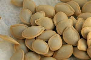 R/S SQUASH SEEDS