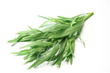 Tarragon