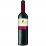 Teperberg Vision Merlot