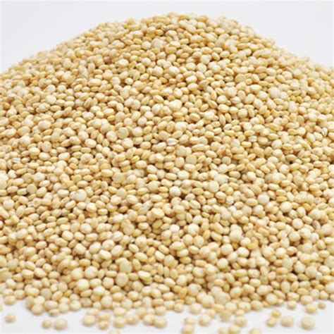 Natural Earth Quinoa White