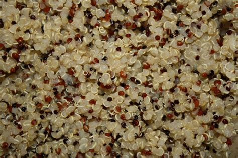 Sadaf Tri Color Quinoa