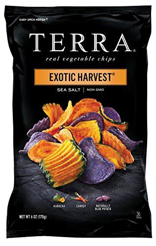 Terra Exotic Potato Sea Salt Chips