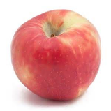 Honey Crisp Apple