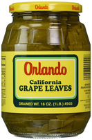 Orlando Grape Leaves