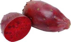 Red Sabres (cactus Pear)