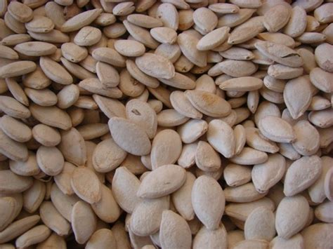 Pistachio Pumpkin Seeds Easy