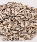 Roasted Salted Jumbo Sunflower Seeds