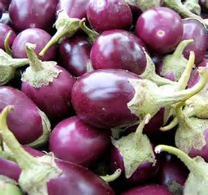 Indian Eggplant