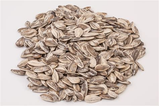 Pistachio Jumbo Sunflower Seeds