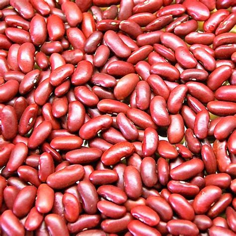 Libers Red Kidny Beans