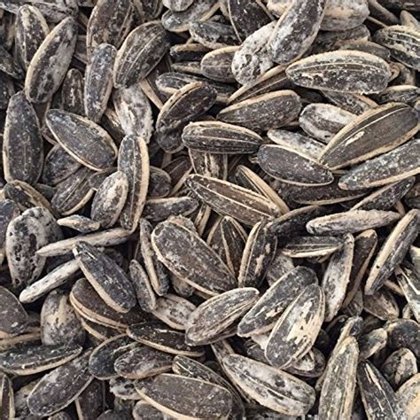 Lov Roasted Salted Sunflower Seeds