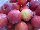 Sweet Red Plum