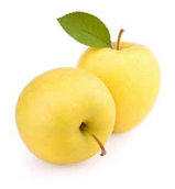 Golden Delicious Apple