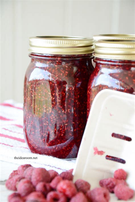 Galil Raspberry Preserve