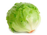 Iceberg Lettuce