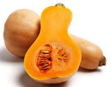 Butternut Squash