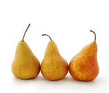 Bosc Pear