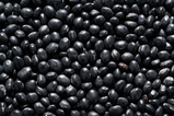 Galil Black Beans