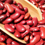 Galil Red Kidney Beans