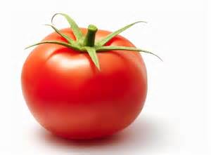 Tomato