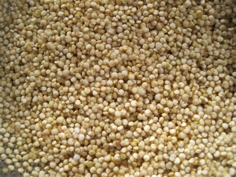 NATURSL EARTH ORGANIC QUINOA