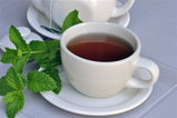 Espresso Club Mint Tea