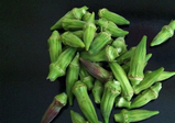 Mid East Small Okra