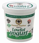 Karoun  Low Fat Yogurt