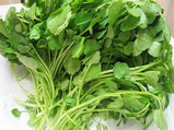 Watercress