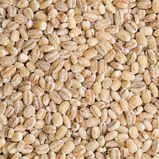 Shwarts Pearled Barley