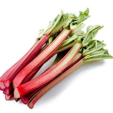 Rhubarb