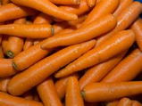 Carrots