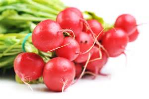 Radish